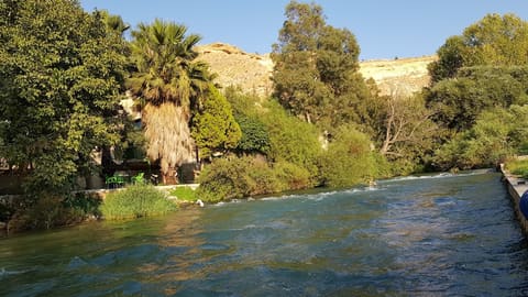 Rotana al assi — photograph 5