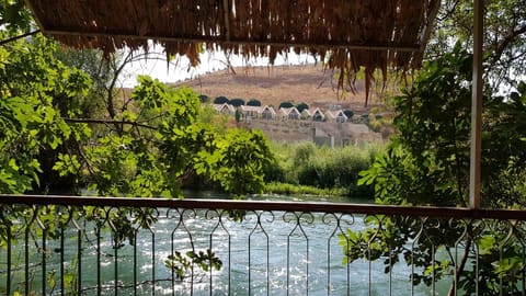Al Aassi - Restaurant — photograph 4