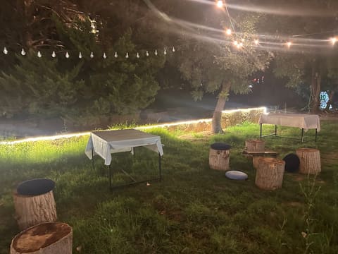 Al Aassi - Restaurant — photograph 5