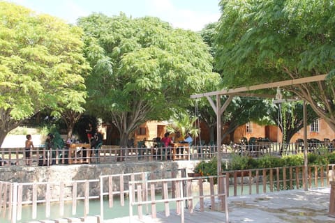 Jannat Al-Assi restaurant — photograph 5