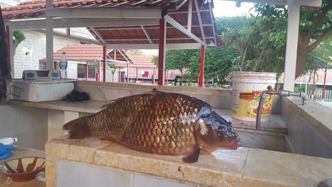 SAMAKA Restaurant and Motel — photograph 3