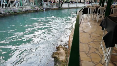 Jazera Al Ferdaws- Restaurant & Rafting-Nahr Assi — photograph 6