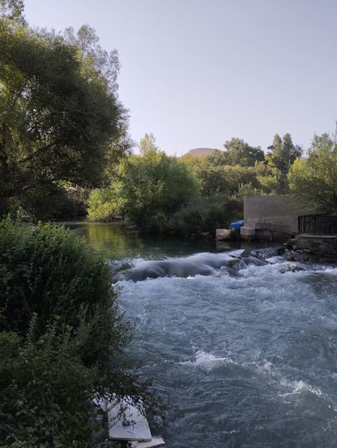 Wadi Al Aassi - Restaurant — photograph 3
