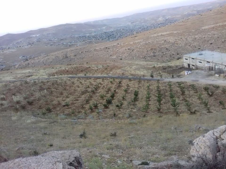 Arsal Dahr Farhoudeh