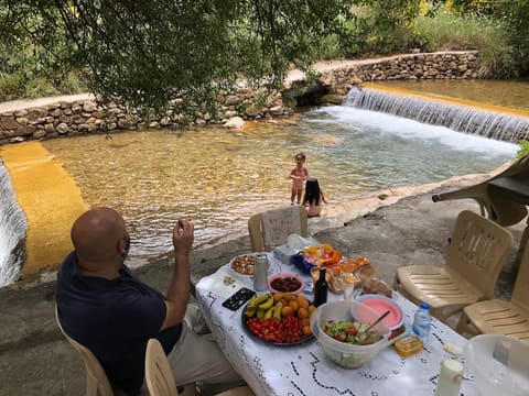 Jannat Ras El Ain — photograph 3