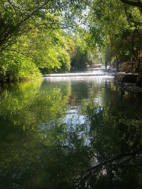 Jannat Ras El Ain — photograph 5