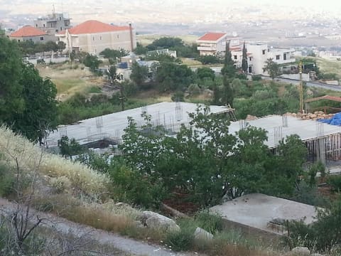 Bouarej Mosque — photograph 2