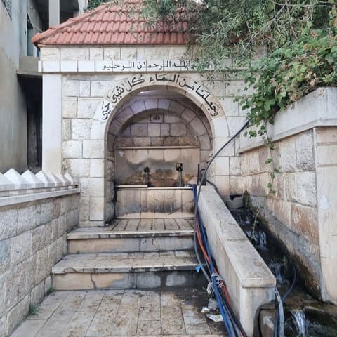 Naba Bouarej — photograph 4