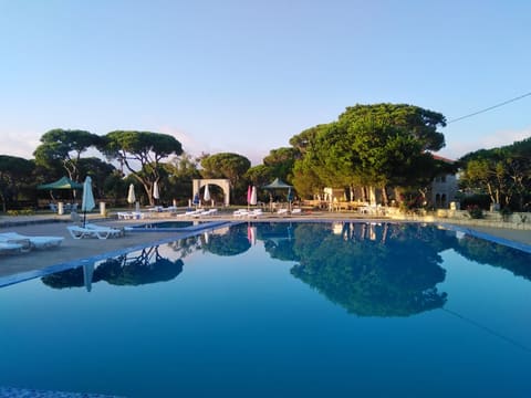 Willy's resort — photograph 3