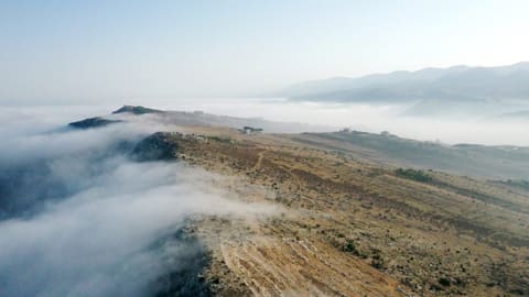 Al Haibe Ain Tghara — photograph 4