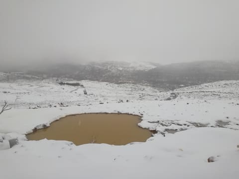Al Haibe Ain Tghara — photograph 5