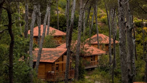 La Maison de la Forêt — photograph 3