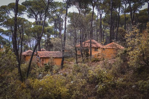 La Maison de la Forêt — photograph 6