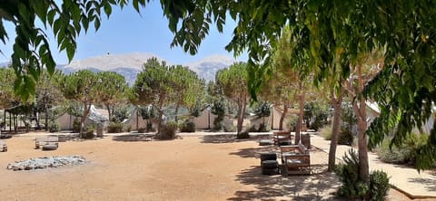 Ain Zaarour — photograph 3