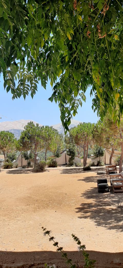 Ain Zaarour — photograph 6