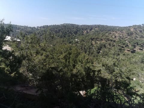 Jezzine shallal — photograph 2
