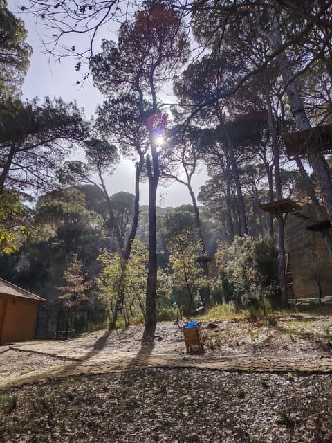 Bkassine — photograph 2