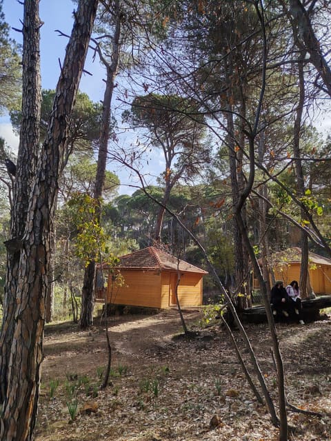 Bkassine — photograph 3