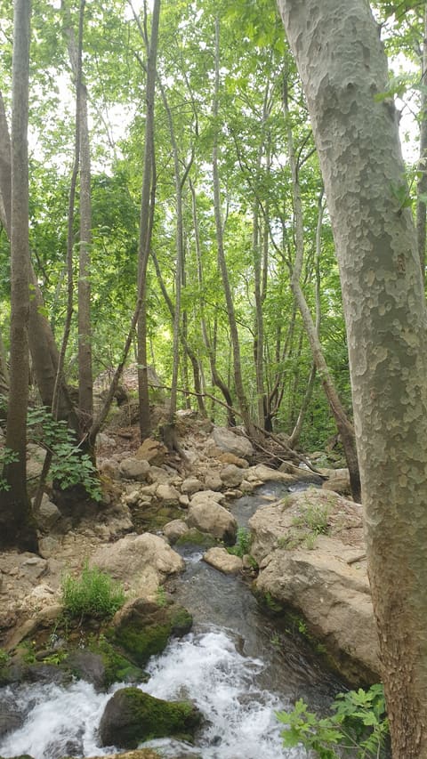 CHMYSE — photograph 5
