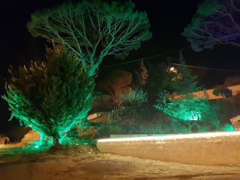 Taamir Park — photograph 3
