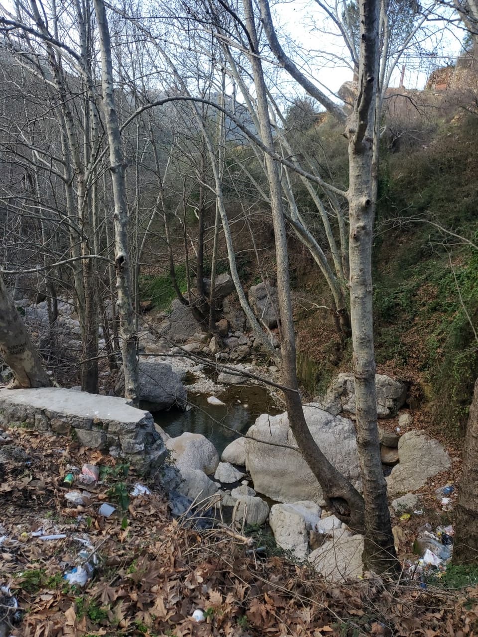 Wadi Jezzine
