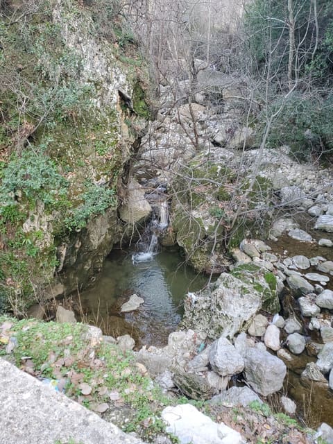 Wadi Jezzine — photograph 2