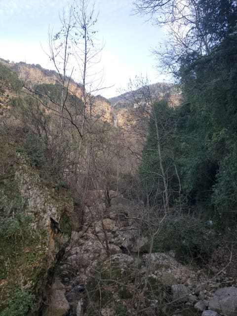Wadi Jezzine — photograph 3