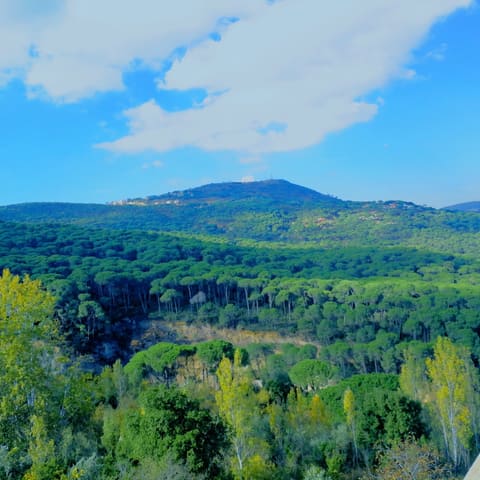 Wadi Jezzine — photograph 3