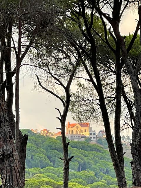 Saint Rafqa Church — photograph 4