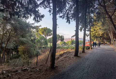 Tibnine Malden Park — photograph 3