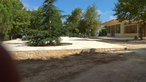 Asaad Fawaz Park — photograph 2
