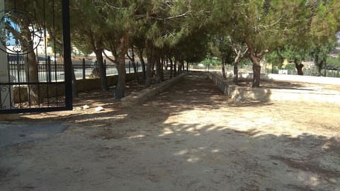 Asaad Fawaz Park — photograph 5