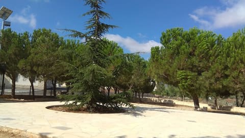 Asaad Fawaz Park — photograph 6
