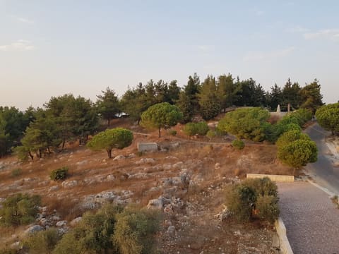 Tebnine Memorial Garden — photograph 2