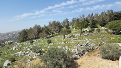 Tebnine Memorial Garden — photograph 3