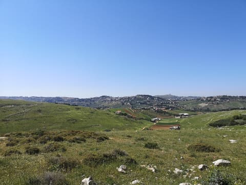 Sahl al Khan — photograph 4