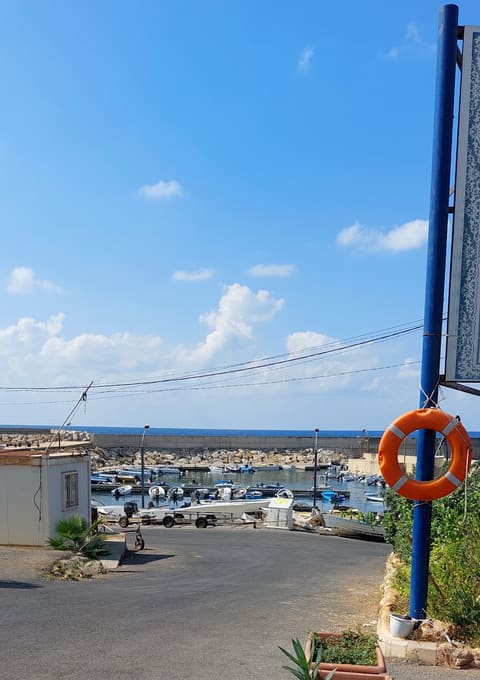 Mina El Manara — photograph 5