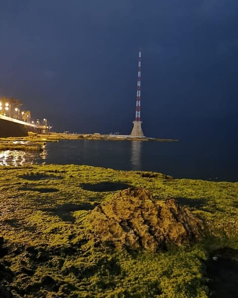 Mina El Manara — photograph 6