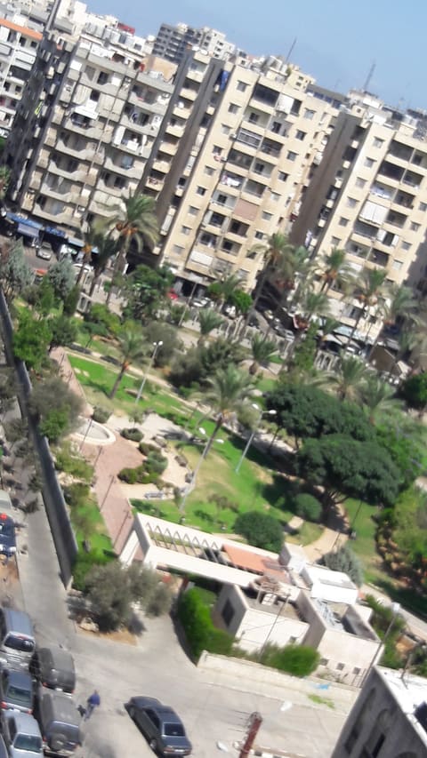 Taynal Public Garden — photograph 4