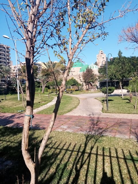 Taynal Public Garden — photograph 5