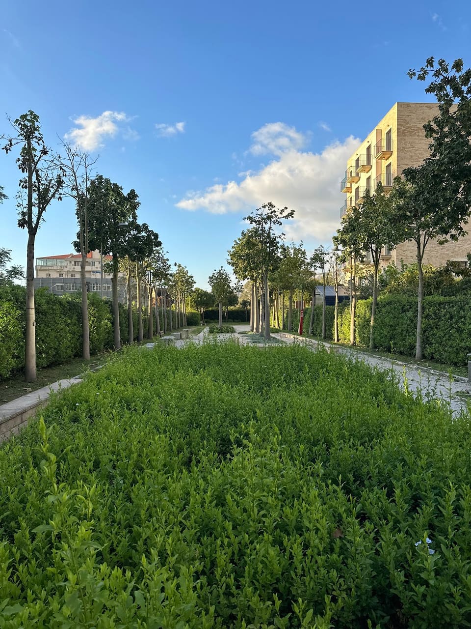 Jounieh Public Park