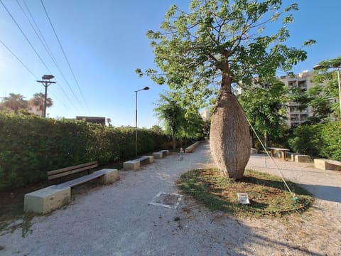 Jounieh Public Park — photograph 6