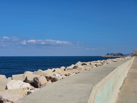 Dbaye Fishing Marina — photograph 4
