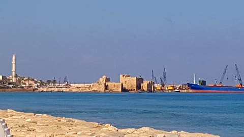 Saida Port — photograph 4