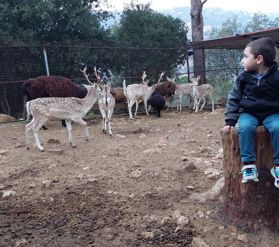Zoo Rami Najd