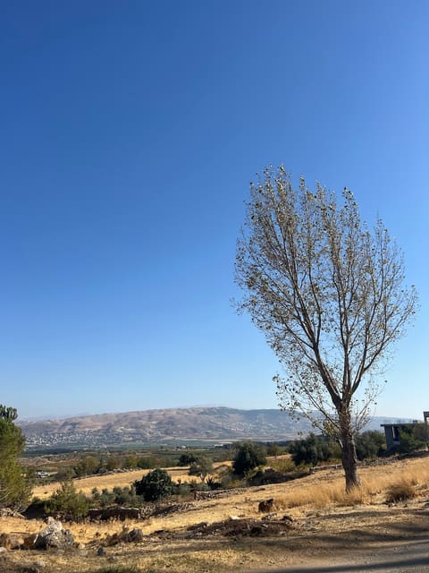 Bekaa from barouk mount — photograph 3