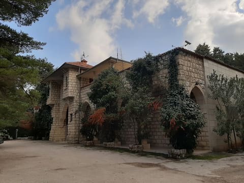 Chatau Kefraya - Misc — photograph 4