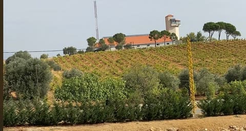 Château Marsyas — photograph 3