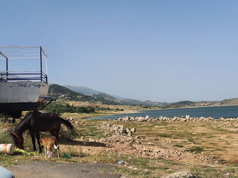 Walid Moubayed Restaurant — photograph 6