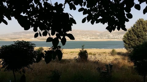 Restaurant El Jawzeh — photograph 4